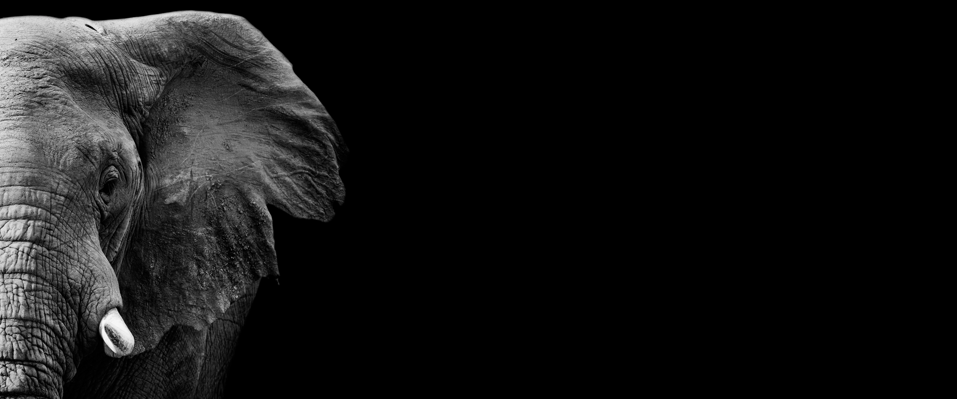 AI Business Agility book hero